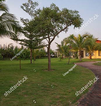 img-gallery
