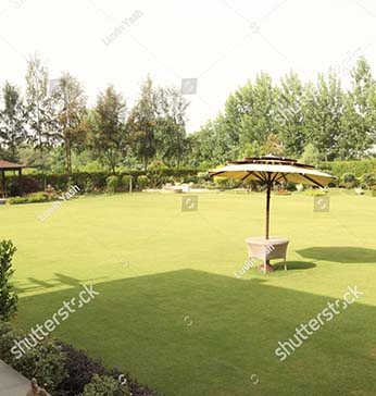img-gallery